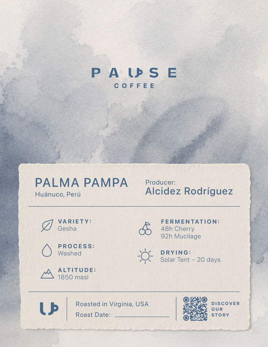 Palma Pampa – Geisha Lavado Specialty Coffee