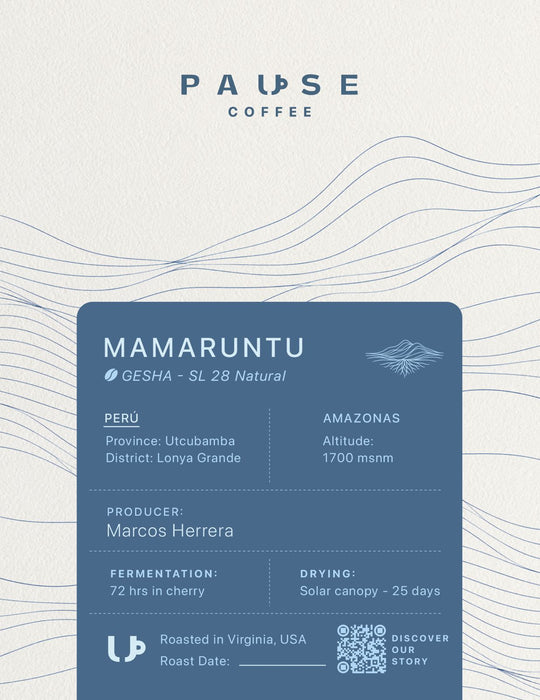 Mamaruntu Blend – Geisha & SL-28 Specialty Coffee